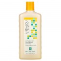 Andalou Naturals, 샴푸, 눈부신 광채, 힘과 활력, 해바라기 & 시트러스, 340ml(11.5fl oz)
