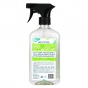 Aunt Fannie's, Glass & Window Vinegar Wash, 16.9 fl oz (500 ml)