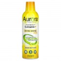 Aurora Nutrascience, Mega-Liposomal Curcumin+, 유기농 과일 맛, 600mg, 480ml(16fl oz)