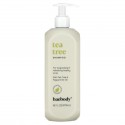 Baebody, 티트리 샴푸, 473ml(16fl oz)
