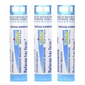 Boiron, Ambrosia, Allergy Relief, Meltaway Pallets, 3 Tubes, 80 Pellets Each