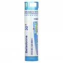 Boiron, Single Remedies, 벨라도나, 30C, 펠릿 약 80개