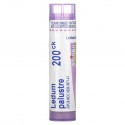 Boiron, Single Remedies, 야생 로즈메리(Ledum Palustre), 200CK, 펠릿 약 80개입