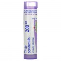 Boiron, Single Remedies, 서양측백나무(Thuja occidentalis), 200CK, 80 과립 알
