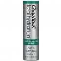 Chapstick, 토탈 하이드레이션 립 케어, 유칼립투스 민트, 0.12oz(3.5g)