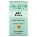 Childlife Clinicals, Brain Focus, 천연 베리, 소프트젤 120정