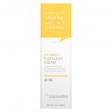 Cosmedica Skincare, 비타민C 페이셜 데이 크림, 60ml(2oz)