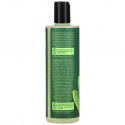 Desert Essence, 티트리 영양 공급 샴푸, 12.7fl oz(375ml)