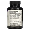 Dragon Herbs, 윌 파워, 500 mg, 100 베지 캡슐