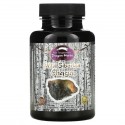 Dragon Herbs, 야생 시베리아 차가버섯, 500 mg, 100 캡슐