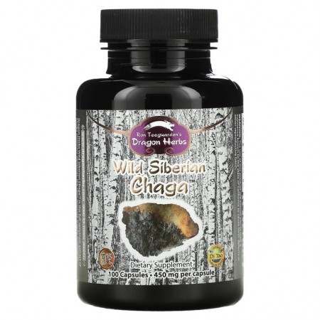 Dragon Herbs, 야생 시베리아 차가버섯, 500 mg, 100 캡슐
