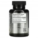 Dragon Herbs, 야생 시베리아 차가버섯, 500 mg, 100 캡슐