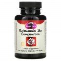 Dragon Herbs, 육미지황, 500mg, 베지 캡슐 100정