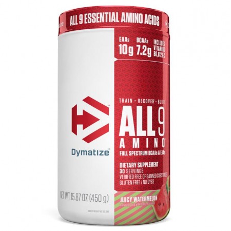 Dymatize, All 9 Amino, 주시 워터멜론, 450g(15.87oz)