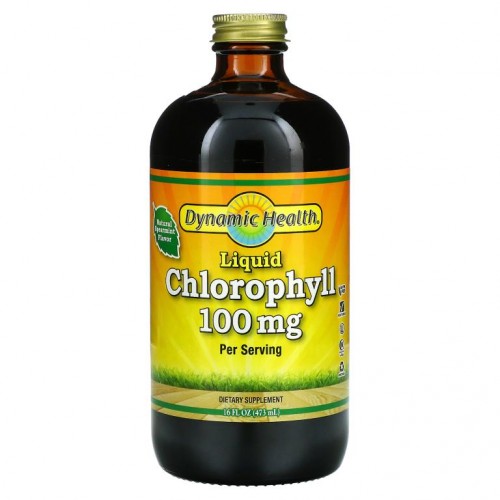Dynamic Health Laboratories, 액상형 엽록소, 천연 스피어민트, 100mg, 473ml(16fl oz)