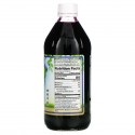 Dynamic Health Laboratories, 순수 블루베리, 100% 과즙 농축물, 무가당, 473ml(16fl oz)