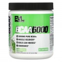 EVLution Nutrition, BCAA5000, 레몬 라임 맛, 258g(9.10oz)