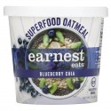 Earnest Eats, 슈퍼푸드 오트밀, 블루베리 치아, 67g(2.35oz)