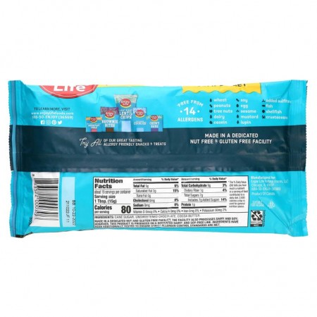 Enjoy Life Foods, 미니 칩스, 세미-스위트 초콜릿, 10 온스 (283 g)