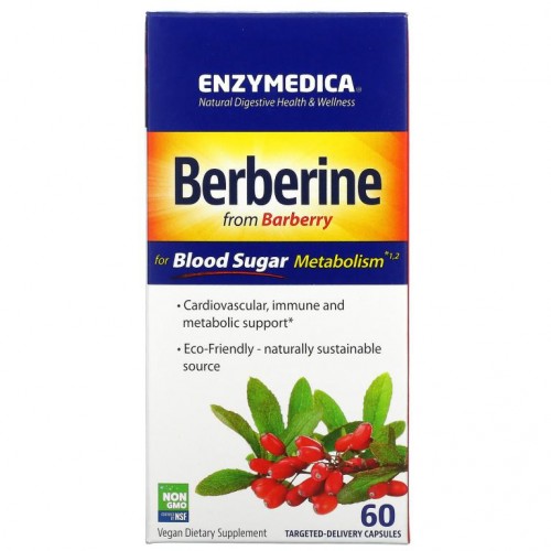 Enzymedica, 혈당 대사를 위한 베르베린, 표적 전달 캡슐 60정