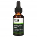 Gaia Herbs, 황기 뿌리, 30ml(1fl oz)
