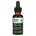 Gaia Herbs, 올리브 잎, 30ml(1fl oz)