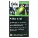 Gaia Herbs, 올리브 잎, 식물성 액상 Phyto-Caps 60정