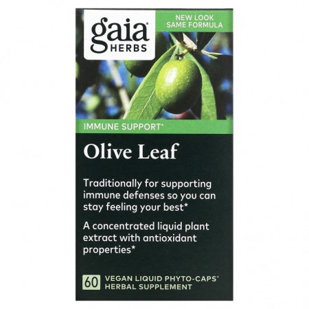 Gaia Herbs, 올리브 잎, 식물성 액상 Phyto-Caps 60정