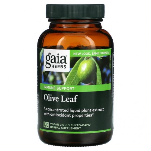 Gaia Herbs, 올리브 잎, 식물성 액상 Phyto-Cpas 120정