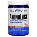 Gaspari Nutrition, Aminolast, 회복 및 지구력 BCAA 증강제, 과일 펀치, 14.8 oz (420 g)