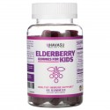 Havasu Nutrition, 어린이용 엘더베리 구미젤리, 60개