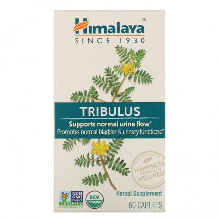 Himalaya, 트리뷸러스, 60정