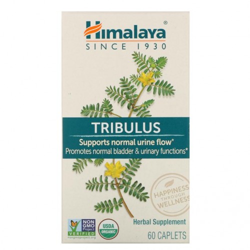 Himalaya, 트리뷸러스, 60정