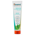 Himalaya, 보타니크(Botanique), 화이트닝 컴플리트 케어 치약(Whitening Complete Care Toothpaste), 심플리 민트(Simply Mint), 5.29 oz (150 g)