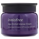 Innisfree, 제주 한란 인텐스 크림, 50ml(1.69fl oz)