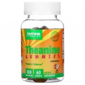 Jarrow Formulas, 테아닌 구미젤리, 무설탕, 사과맛, 100mg, 구미젤리 60개