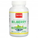 Jarrow Formulas, 빌베리 + 포도껍질 폴리페놀, 280mg, 베지 캡슐 120정