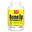 Jarrow Formulas, Bone-Up, 캡슐 240정