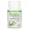 Kyolic, Aged Garlic Extract, 심혈관계 건강, 포뮬라 100, 100정