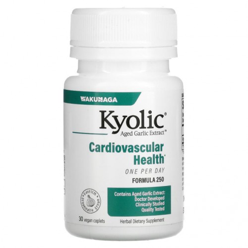 Kyolic, Aged Garlic Extract, One Per Day , 심혈관계 지원, 1,000mg, 30정