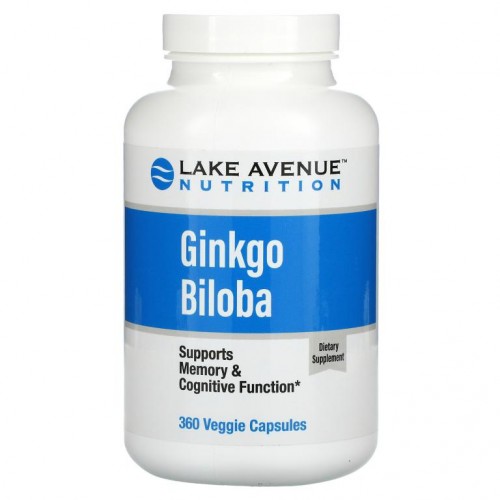 Lake Avenue Nutrition, 은행나무 추출물, 120mg, 식물성 캡슐 360정