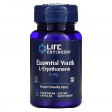 Life Extension, 에센셜 유스 l-에르고티오네인, 5mg, 베지 캡슐 30정