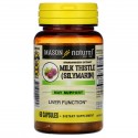 Mason Natural, 밀크시슬(실리마린), 표준화 추출물, 캡슐 60개