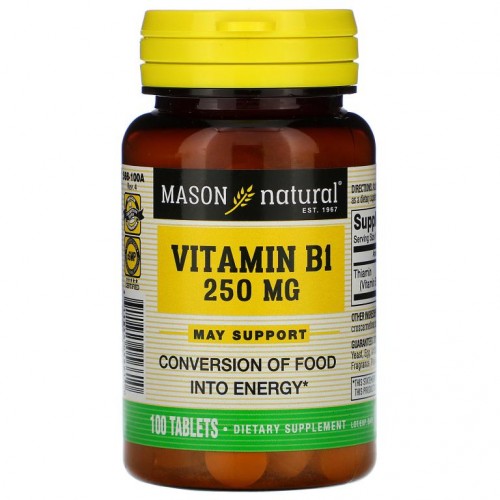 Mason Natural, 비타민B1, 250mg, 100정