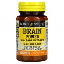 Mason Natural, Brain Power with Sage Extract, 캡슐 60정