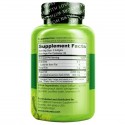 NATURELO, 비건 DHA, 해조류 추출 오메가3, 800mg, 비건 소프트젤 120정