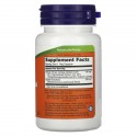 NOW Foods, 은행나무, 더블 스트렝스, 120mg, 베지 캡슐 50정
