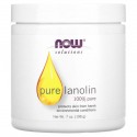 NOW Foods, 솔루션스, 순수 라놀린, 7 oz (198 g)
