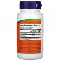 NOW Foods, 우엉 뿌리, 430mg, 베지 캡슐 100정