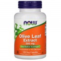 NOW Foods, 올리브 잎 추출물, 500 mg, 120 식물성 캡슐